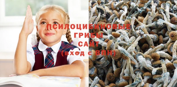 эйфоретик Армянск