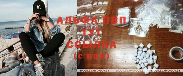 гидра Аркадак